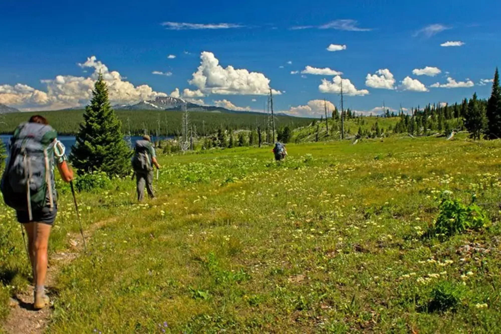 Yellowstone Hiking Tours