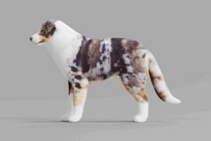 is a australian shepherd a autotroph or heterotroph