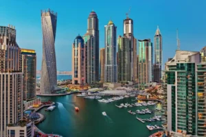 How It Simplifies Finding Companies Across the UAE