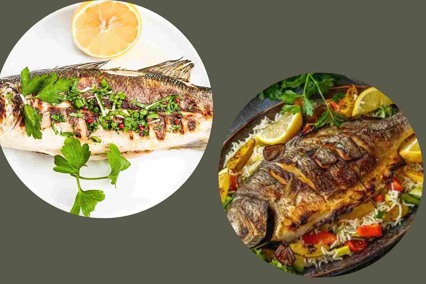 Features and benefits of hamour fish UAE Episode