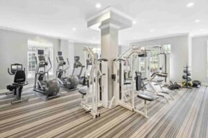 USA Atlanta Lenox vs Phipps Buyer Guide